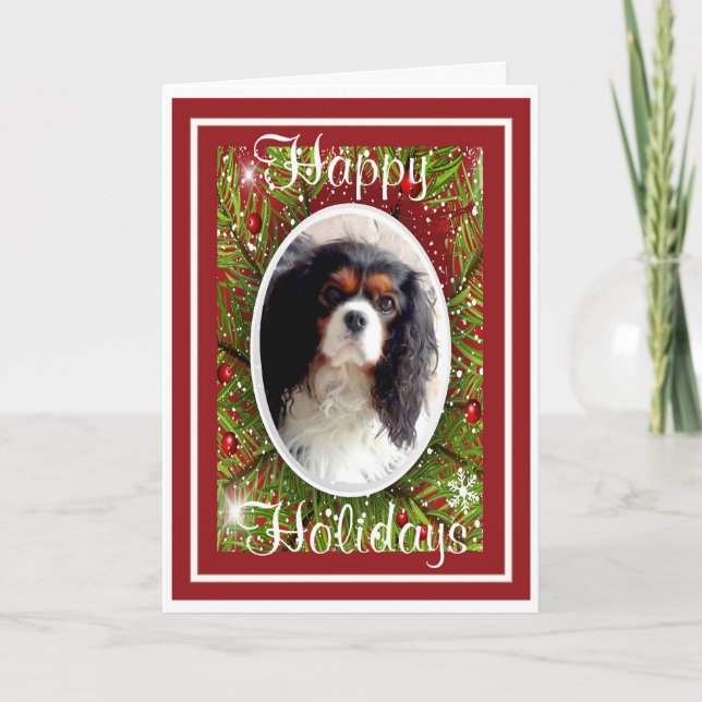 Cavalier King Charles Spaniel Christmas Card (Front)