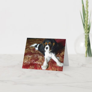 Cavalier King Charles Spaniel Christmas Card