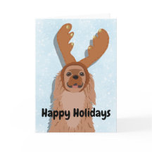 Cavalier King Charles Spaniel Christmas