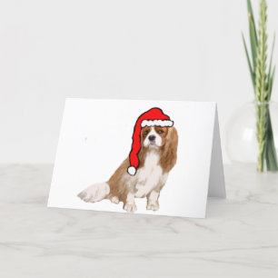 Cavalier King Charles Spaniel Christmas Holiday Card