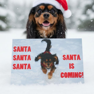 Cavalier King Charles Spaniel Christmas Holiday Card