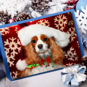 Cavalier King Charles Spaniel Christmas Love Holiday Card