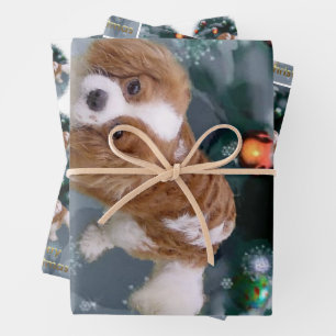 Cavalier King Charles Spaniel Christmas Wrapping Paper Sheet