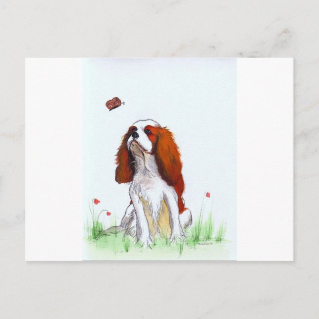 Cavalier King Charles Spaniel CKC Postcard (Front)