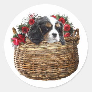 Cavalier King Charles Spaniel Classic Round Sticker