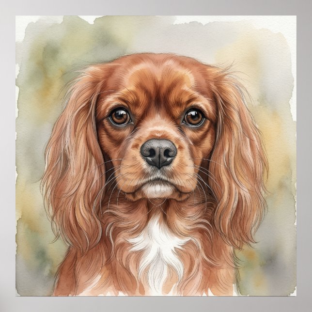 Cavalier King Charles Spaniel Close-Up Watercolour Poster (Front)