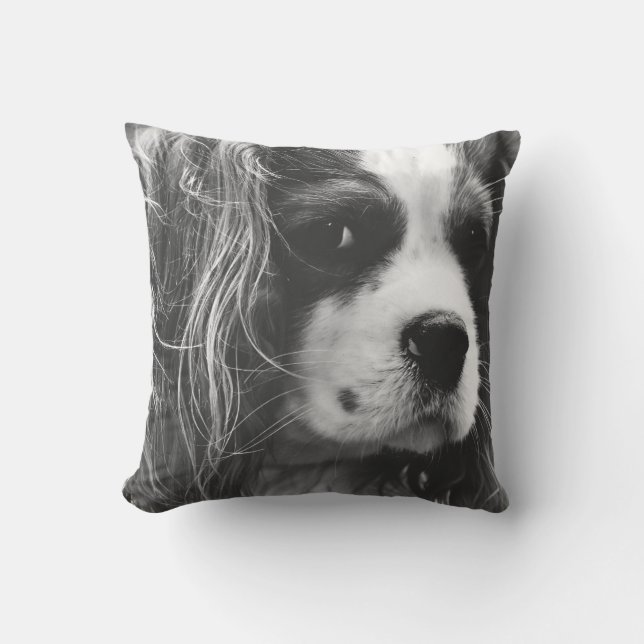 Cavalier King Charles Spaniel Cushion (Front)