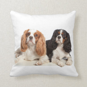 Cavalier King Charles Spaniel Cushion
