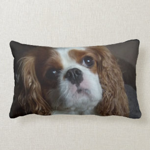 Cavalier King Charles Spaniel cushion pillow