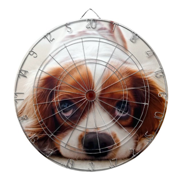 Cavalier King Charles Spaniel Dartboard (Front)
