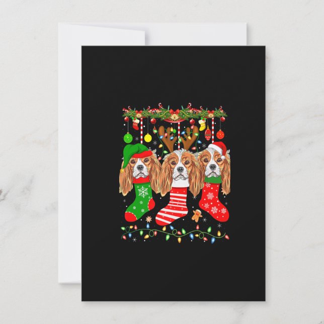 Cavalier King Charles Spaniel Dog In Christmas Soc Invitation (Front)
