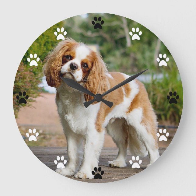 Cavalier King Charles Spaniel Dog - Paw Print Time Large Clock (Front)