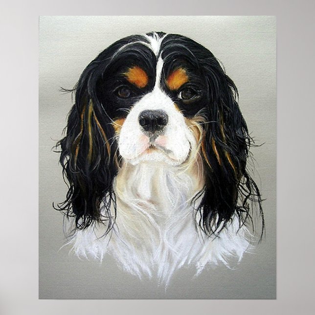 Cavalier King Charles Spaniel Dog Poster Print (Front)