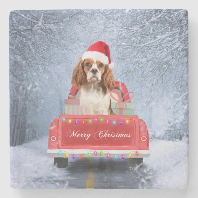 Cavalier King Charles Spaniel Dog Snow christmas  Stone Coaster (Front)
