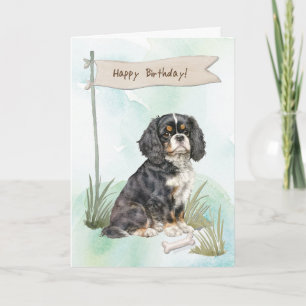 Cavalier King Charles Spaniel Dog Under Birthday Card