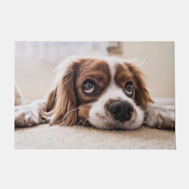 Cavalier king charles spaniel doormat (Front)