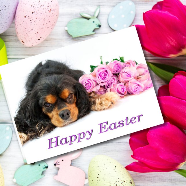 Cavalier King Charles Spaniel Easter Card Roses (Creator Uploaded)