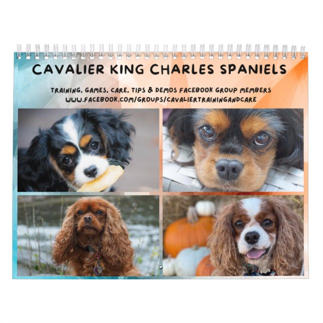 Cavalier King Charles Spaniel FB Group Calendar (Cover)