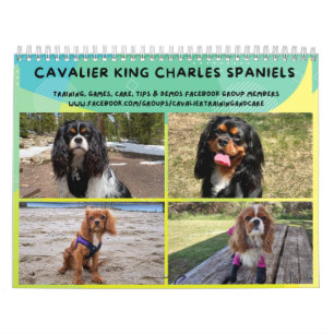 Cavalier King Charles Spaniel FB Group Calendar (2