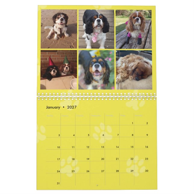 Cavalier King Charles Spaniel FB Group Calendar (3 (Jan 2027)
