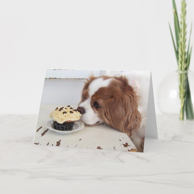 Cavalier King Charles Spaniel Fridays Cupcake Card (Front)