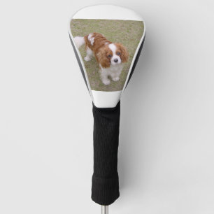 Cavalier-king-charles-spaniel full golf head cover