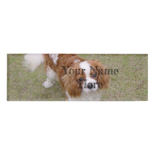 Cavalier-king-charles-spaniel full name tag