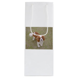 Cavalier-king-charles-spaniel full wine gift bag