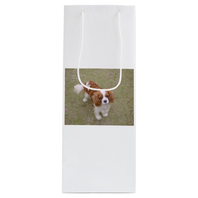 Cavalier-king-charles-spaniel full wine gift bag (Front)
