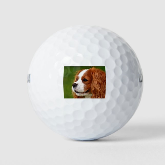 Cavalier King Charles Spaniel Golf Balls (Front)