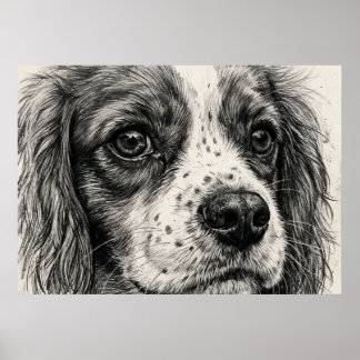 Cavalier King Charles Spaniel Graphite Pencil Post Poster