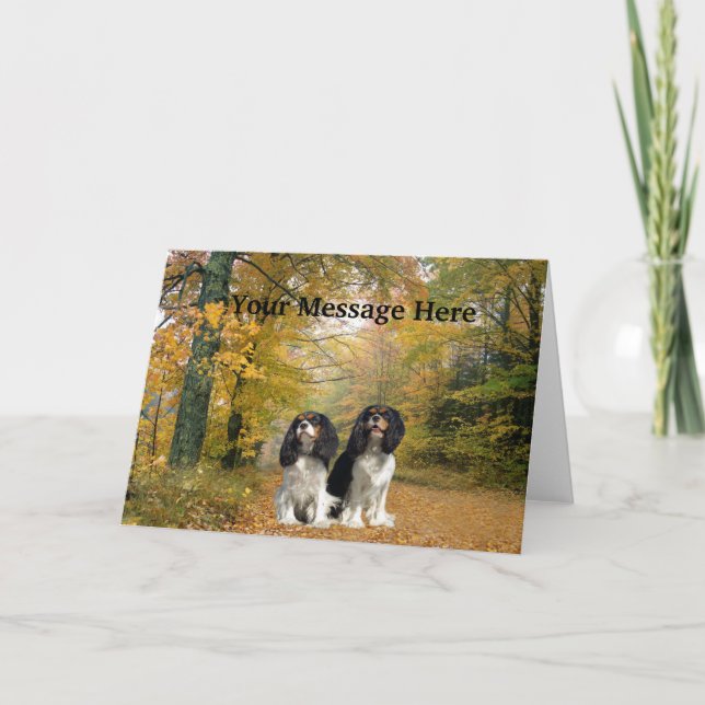 Cavalier King Charles Spaniel Greeting Card (Front)