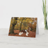 Cavalier King Charles Spaniel Greeting Card