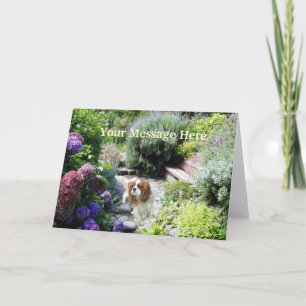 Cavalier King Charles Spaniel Greeting Card