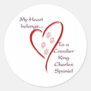 Cavalier King Charles Spaniel Heart Belongs Classic Round Sticker
