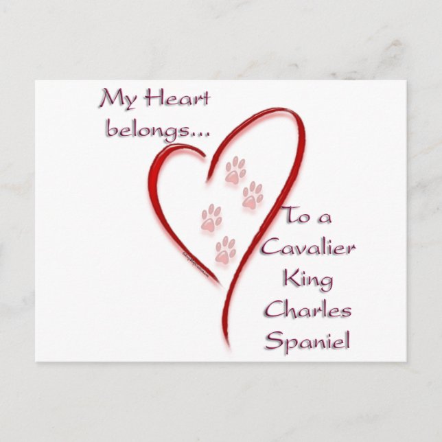Cavalier King Charles Spaniel Heart Belongs Postcard (Front)