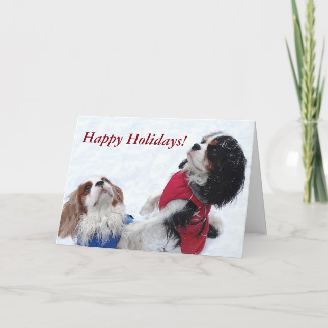 Cavalier King Charles Spaniel Holiday Card (Front)