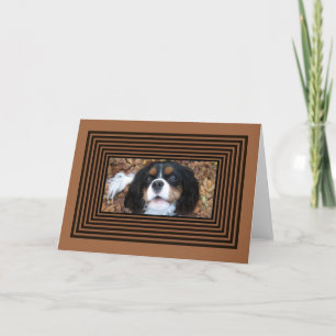 Cavalier King Charles Spaniel in fall leaves Card