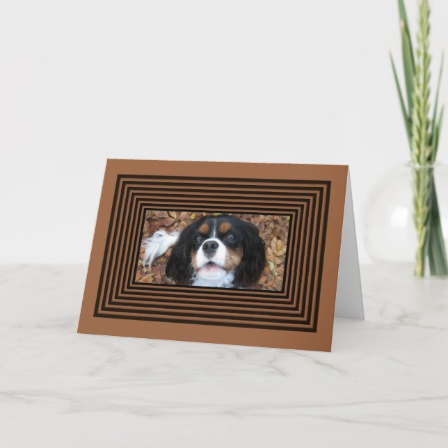 Cavalier King Charles Spaniel in fall leaves Card (Front)