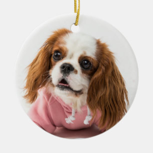Cavalier King Charles Spaniel in Pink Jacket Ceramic Ornament