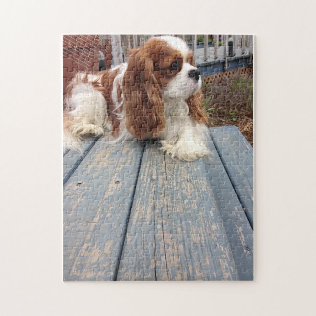 Cavalier King Charles Spaniel Jigsaw Puzzle (Vertical)