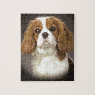 Cavalier King Charles Spaniel Jigsaw Puzzle