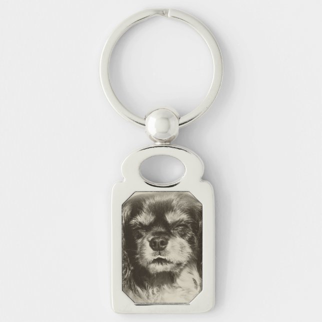 Cavalier King Charles Spaniel Key Ring (Front)