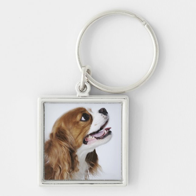 Cavalier King Charles Spaniel Key Ring (Front)