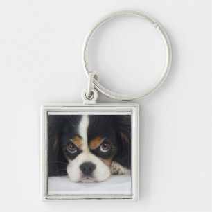 Cavalier King Charles Spaniel Keychain