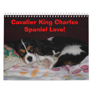 Cavalier King Charles Spaniel Love! - Customised Calendar