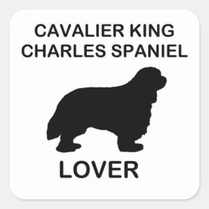 Cavalier King Charles spaniel lover Square Sticker