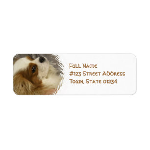Cavalier King Charles Spaniel Mailing Label Return Address Label