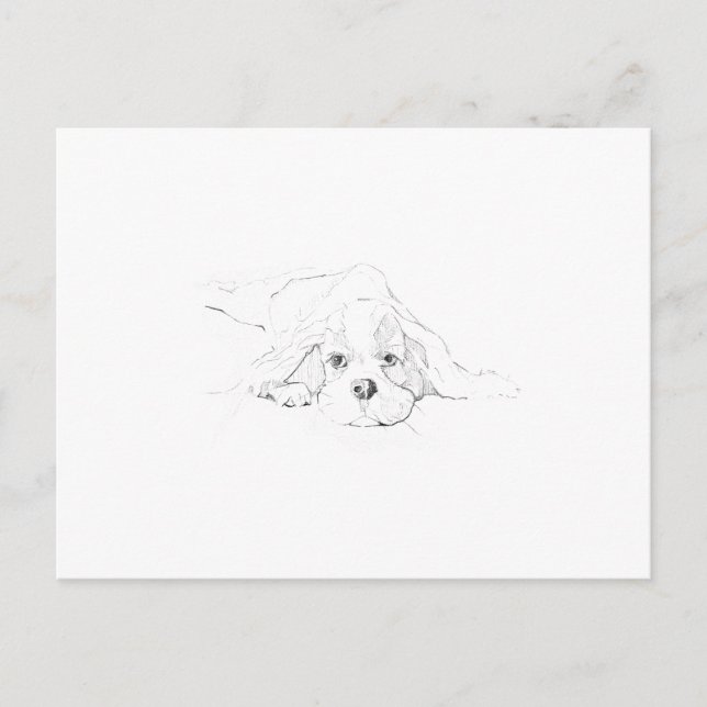 Cavalier King Charles Spaniel Memory Postcard (Front)