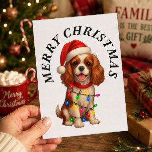 Cavalier King Charles Spaniel Merry Christmas Holiday Postcard